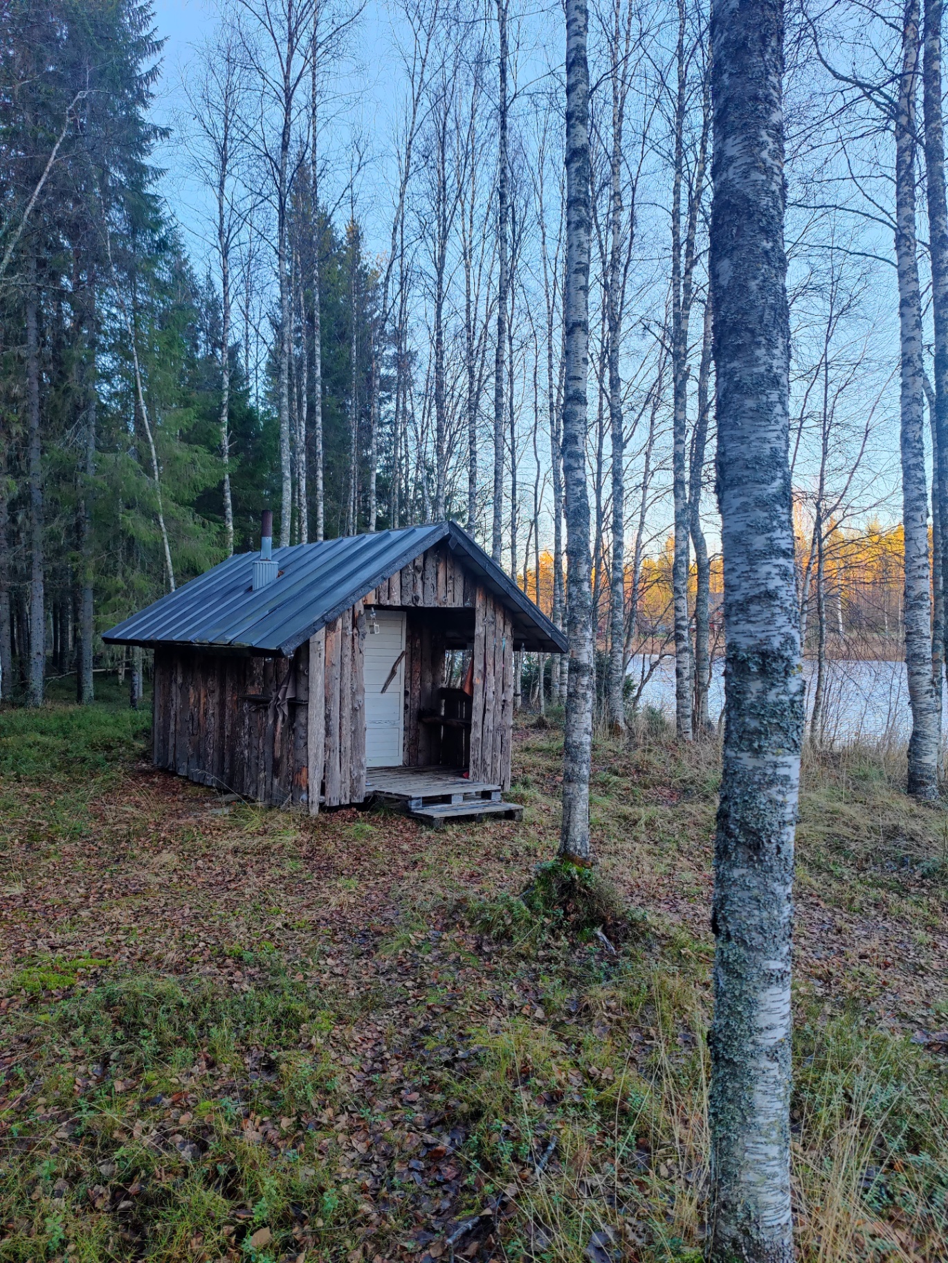 Pieni puusauna koivujen keskellä joen rannalla