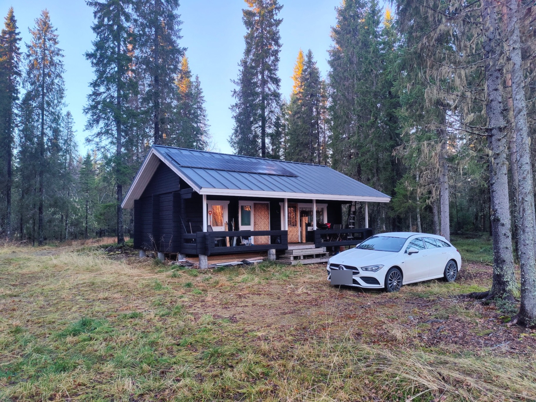 Hirsimökki kuusimetsässä